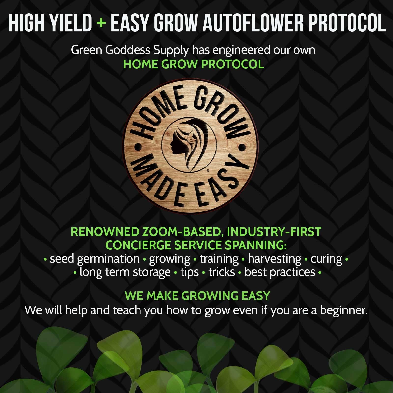 high yield + easy grow