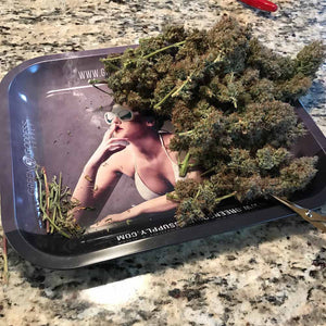 Extra Large 14" x 12" Trimming Tray (Rolling Tray)